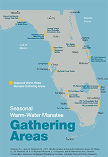 Map of the Florida manatee gathering areas around the state.