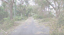 Debris Cleanup